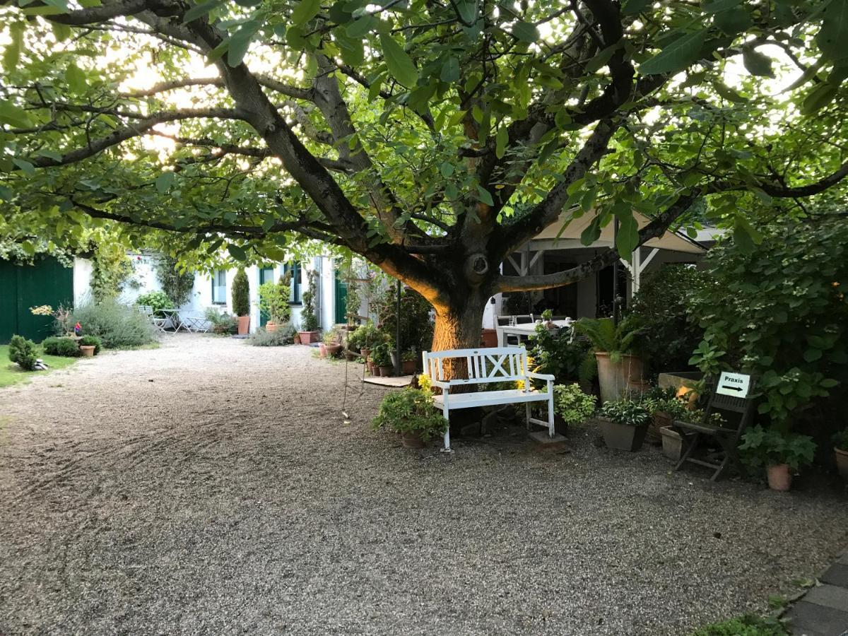 Ferien- Und Messewohnung In Meerbusch Bagian luar foto